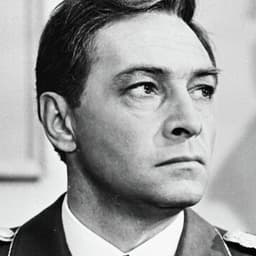 Штирлиц-досье