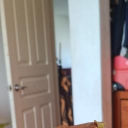 Minha Doutora
