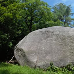 isac batman screamier