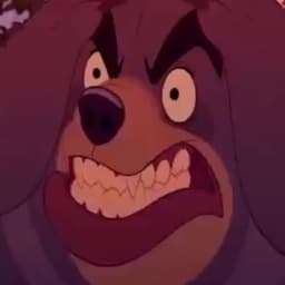 The Grizzly-Bear Igor