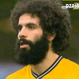 ساسي