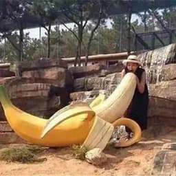 西班牙悦耳声音