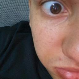 Moises 