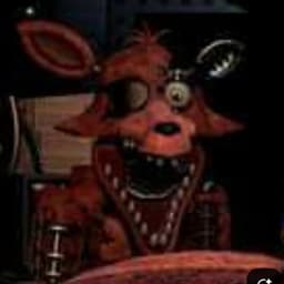Foxy 