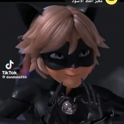 القط الاسود