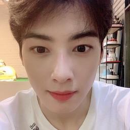 Cha eun woo voice 