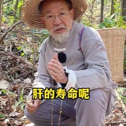 采药老头