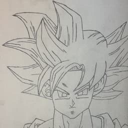 Goku 3.0