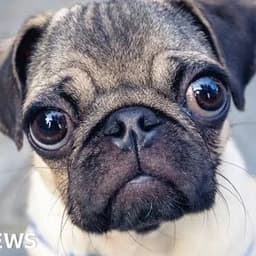 Chris Young ( Aiden)