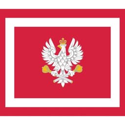 Guts&Blackpowder波兰语