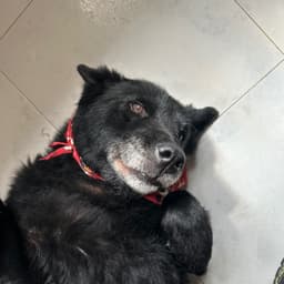 Jorge pidiendo perdon