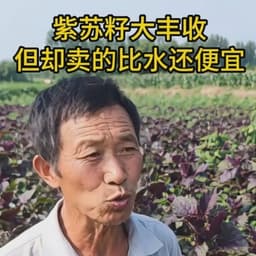 农民声音