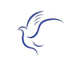 TESTE PADRAO MELODIA OK