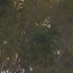 صوت بنت سورية شابة 4