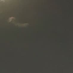 قائد الجميلي 