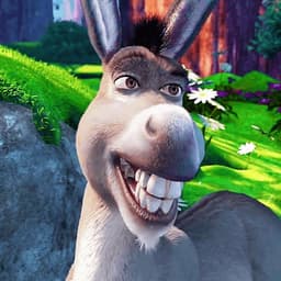 Donkey