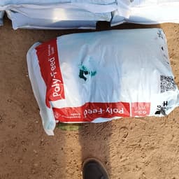 小明剑魔能能能