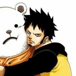 Trafalgar Law 