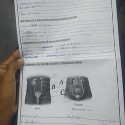 تاريخ التسجيل 