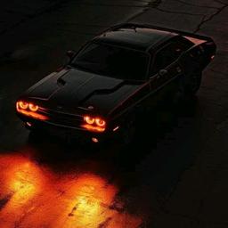 صوت ولد