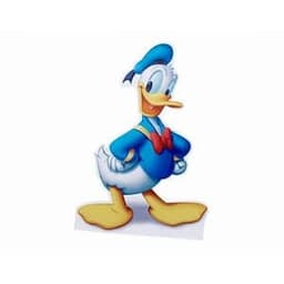 Donald Duck