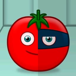 Tomate 