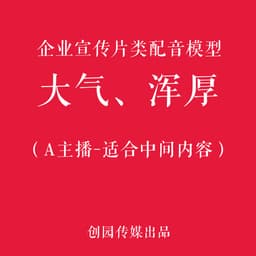 大气企业宣传片（适合中间内容）