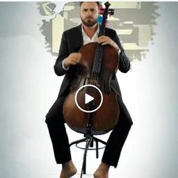 Hauser