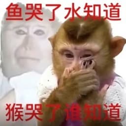 大叔测试1