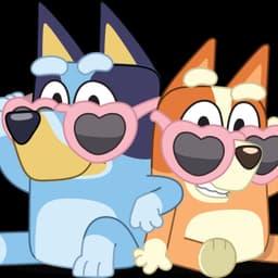 Bluey christine heeler