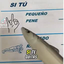 西语男（代入感强）1