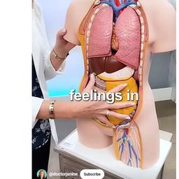 音频克隆How to better Digestion & Gut Health