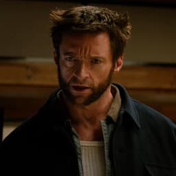 Wolverine (logan)