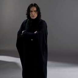 Professor Snape (Alan Rickman)